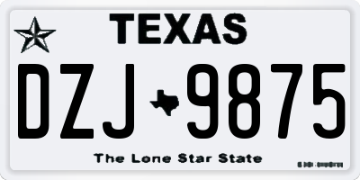 TX license plate DZJ9875