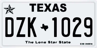 TX license plate DZK1029