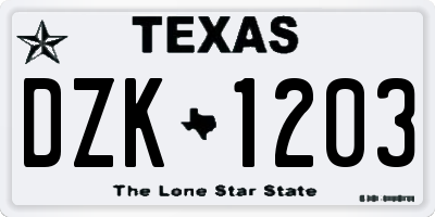TX license plate DZK1203