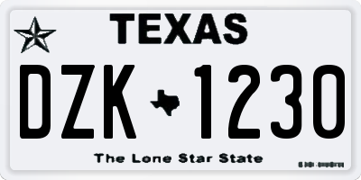 TX license plate DZK1230