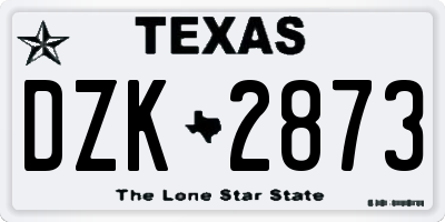 TX license plate DZK2873