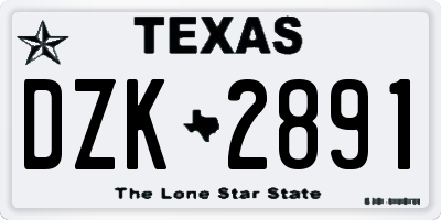 TX license plate DZK2891