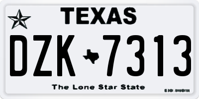 TX license plate DZK7313