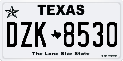 TX license plate DZK8530