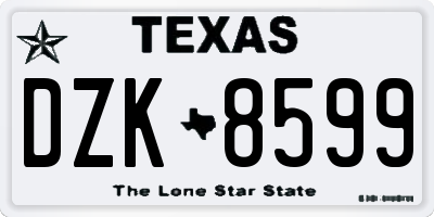 TX license plate DZK8599