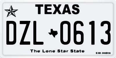 TX license plate DZL0613