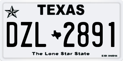 TX license plate DZL2891