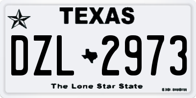 TX license plate DZL2973