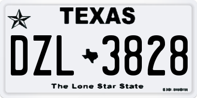 TX license plate DZL3828