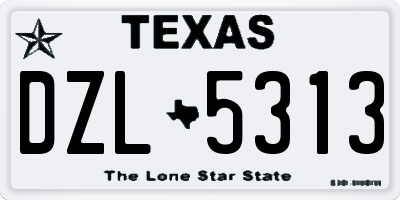 TX license plate DZL5313