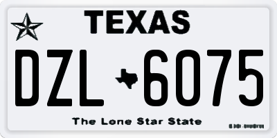 TX license plate DZL6075