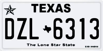 TX license plate DZL6313