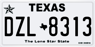 TX license plate DZL8313
