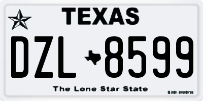 TX license plate DZL8599