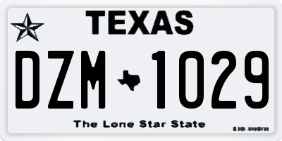TX license plate DZM1029
