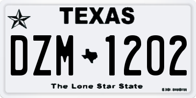 TX license plate DZM1202