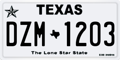 TX license plate DZM1203