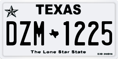 TX license plate DZM1225