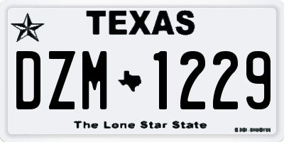 TX license plate DZM1229