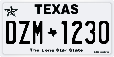 TX license plate DZM1230