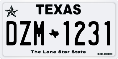 TX license plate DZM1231