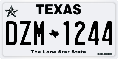 TX license plate DZM1244
