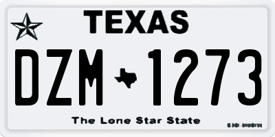 TX license plate DZM1273