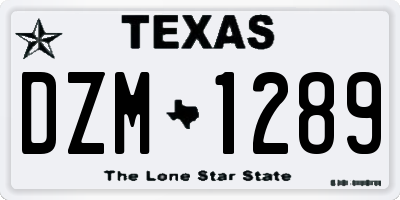 TX license plate DZM1289