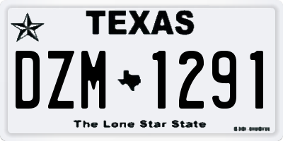 TX license plate DZM1291