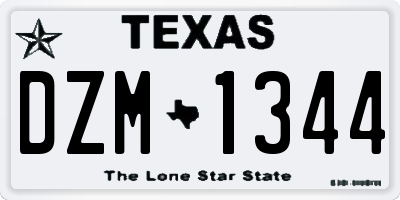 TX license plate DZM1344