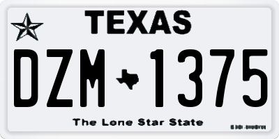 TX license plate DZM1375