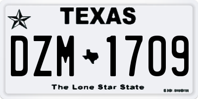 TX license plate DZM1709