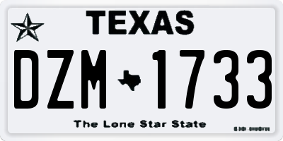 TX license plate DZM1733