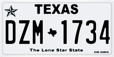 TX license plate DZM1734