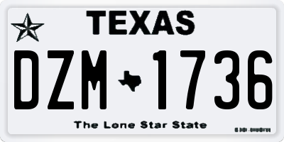 TX license plate DZM1736