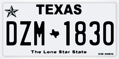 TX license plate DZM1830