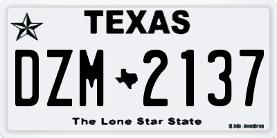TX license plate DZM2137