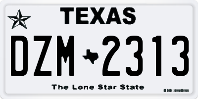 TX license plate DZM2313