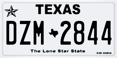 TX license plate DZM2844