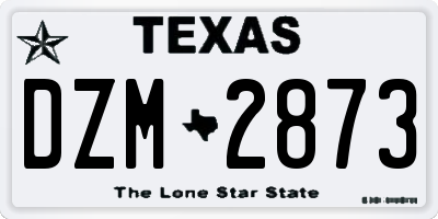 TX license plate DZM2873