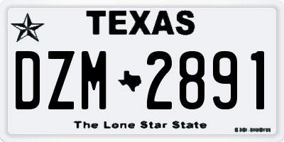 TX license plate DZM2891