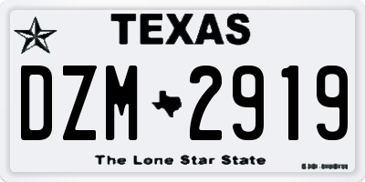 TX license plate DZM2919