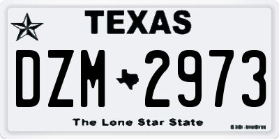 TX license plate DZM2973
