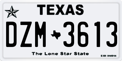 TX license plate DZM3613