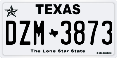 TX license plate DZM3873
