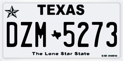 TX license plate DZM5273