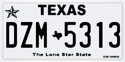 TX license plate DZM5313