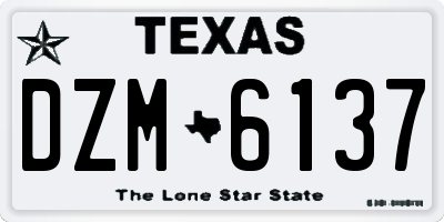 TX license plate DZM6137