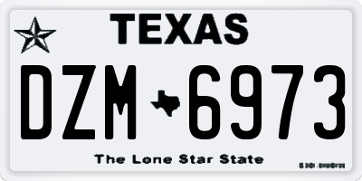 TX license plate DZM6973