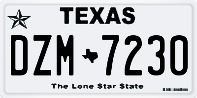 TX license plate DZM7230